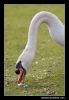 CRW_4021.jpg