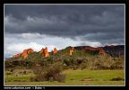 CRW_5187.jpg