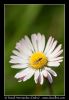 CRW_0888.jpg