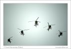 CRW_1443.jpg