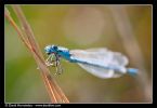 CRW_2100.jpg