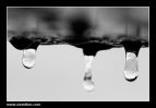 CRW_4586.jpg
