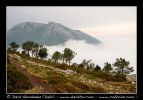 CRW_8885.jpg