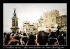 _MG_8557.jpg