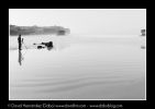 crw_0554.jpg